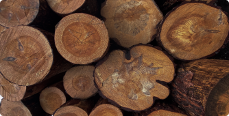 Harvesting of wood